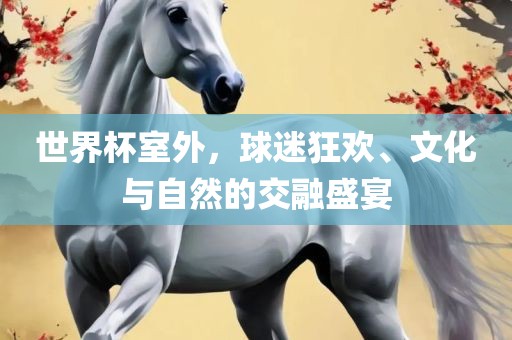 世界杯室外，球迷狂欢、文化与自然的交融盛宴