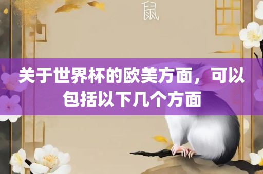 关于世界杯的欧美方面，可以包括以下几个方面