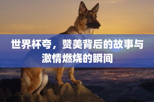 世界杯夸，赞美背后的故事与激情燃烧的瞬间