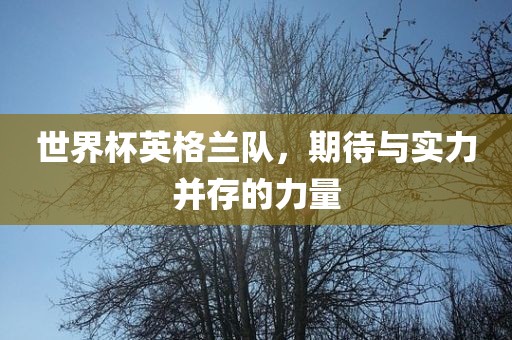 世界杯英格兰队，期待与实力并存的力量