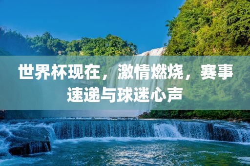 世界杯现在，激情燃烧，赛事速递与球迷心声