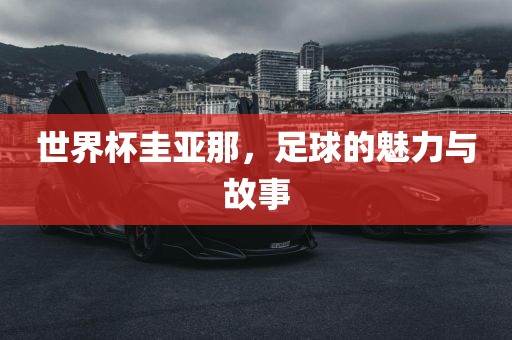 世界杯圭亚那，足球的魅力与故事
