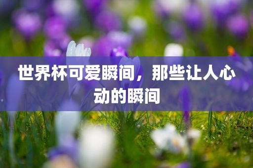 世界杯可爱瞬间，那些让人心动的瞬间
