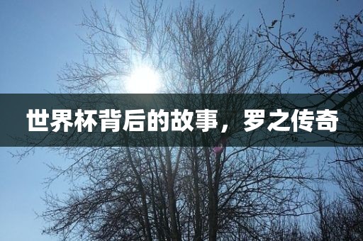 世界杯背后的故事，罗之传奇