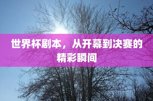 世界杯剧本，从开幕到决赛的精彩瞬间