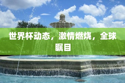 世界杯动态，激情燃烧，全球瞩目