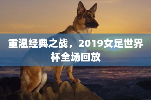 重温经典之战，2019女足世界杯全场回放洛阳市法福文化传播有限公司