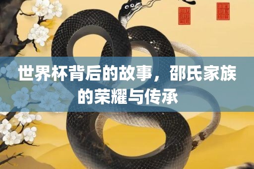 世界杯背后的故事，邵氏家族的荣耀与传承
