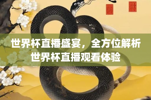 世界杯直播盛宴，全方位解析世界杯直播观看体验
