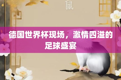 德国世界杯现场，激情四溢的足球盛宴