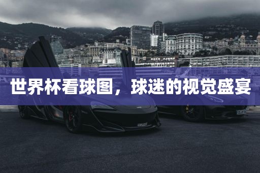 世界杯看球图，球迷的视觉盛宴