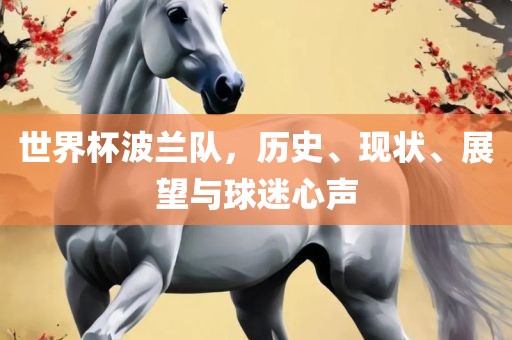 世界杯波兰队，历史、现状、展望与球迷心声
