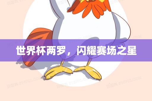 世界杯两罗，闪耀赛场之星