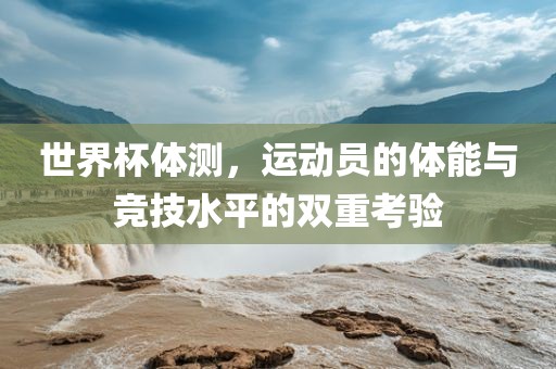 世界杯体测，运动员的体能与竞技水平的双重考验