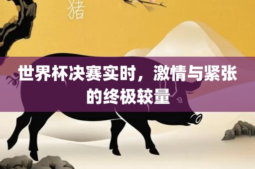 世界杯决赛实时，激情与紧张的终极较量