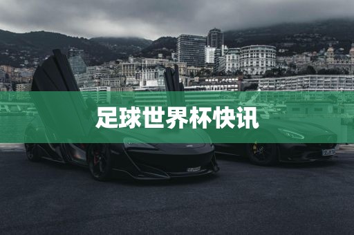 足球世界杯快讯