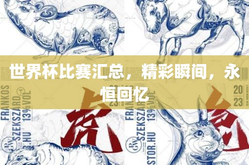 世界杯比赛汇总，精彩瞬间，永恒回忆