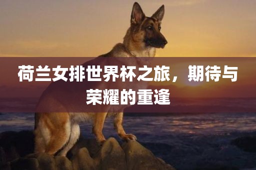 荷兰女排世界杯之旅，期待与荣耀的重逢