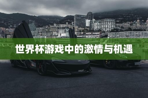 世界杯游戏中的激情与机遇