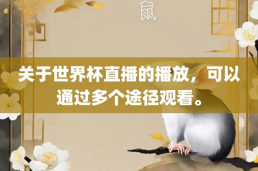关于世界杯直播的播放，可以通过多个途径观看。