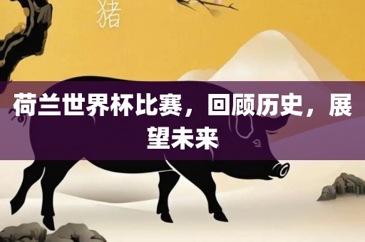 荷兰世界杯比赛，回顾历史，展望未来