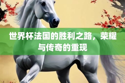 世界杯法国的胜利之路，荣耀与传奇的重现