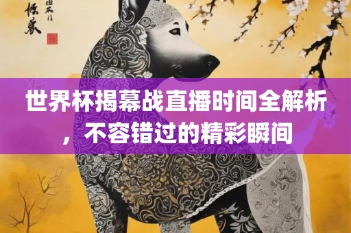 世界杯揭幕战直播时间全解析，不容错过的精彩瞬间