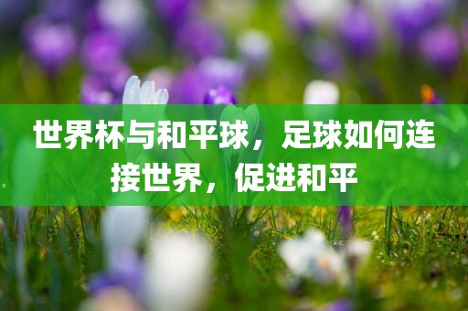 世界杯与和平球，足球如何连接世界，促进和平