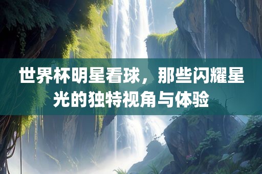 世界杯明星看球，那些闪耀星光的独特视角与体验