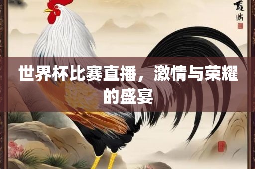 世界杯比赛直播，激情与荣耀的盛宴