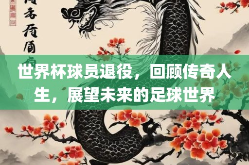 世界杯球员退役，回顾传奇人生，展望未来的足球世界
