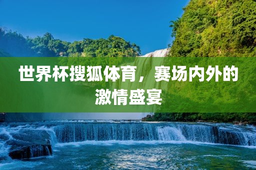 世界杯搜狐体育，赛场内外的激情盛宴