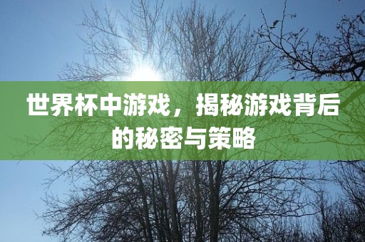 世界杯中游戏，揭秘游戏背后的秘密与策略