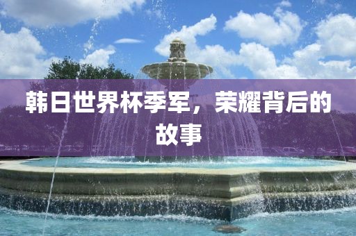 韩日世界杯季军，荣耀背后的故事