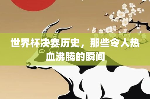 世界杯决赛历史，那些令人热血沸腾的瞬间