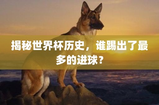 揭秘世界杯历史，谁踢出了最多的进球？