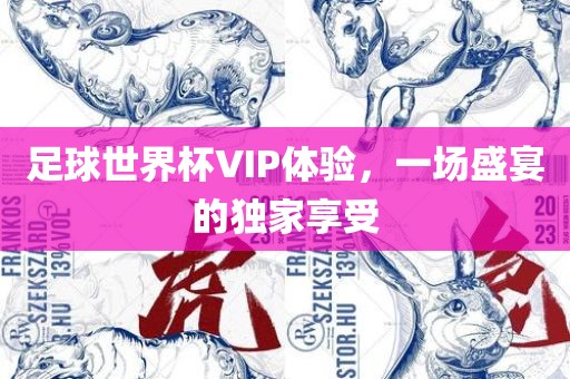 足球世界杯VIP体验，一场盛宴的独家享受