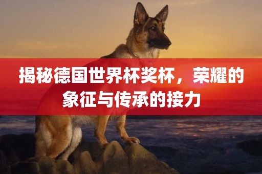 揭秘德国世界杯奖杯，荣耀的象征与传承的接力
