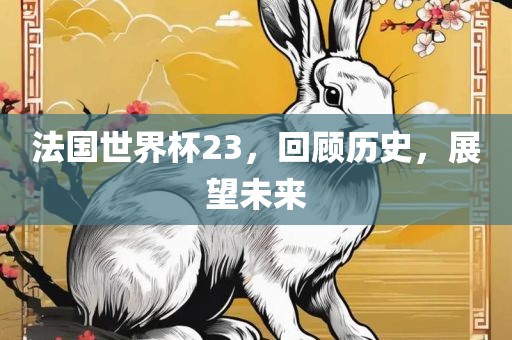 法国世界杯23，回顾历史，展望未来