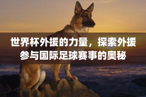 世界杯外援的力量，探索外援参与国际足球赛事的奥秘