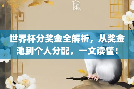 世界杯分奖金全解析，从奖金池到个人分配，一文读懂！