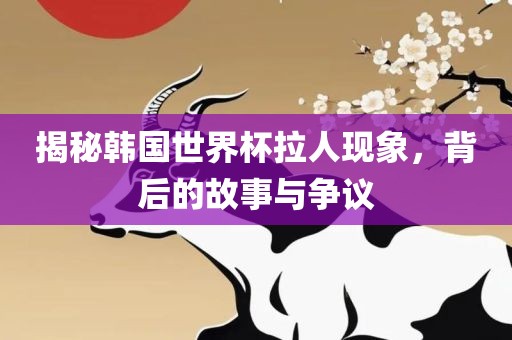 揭秘韩国世界杯拉人现象，背后的故事与争议