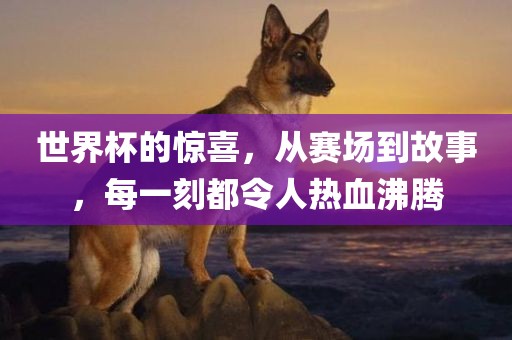 世界杯的惊喜，从赛场到故事，每一刻都令人热血沸腾