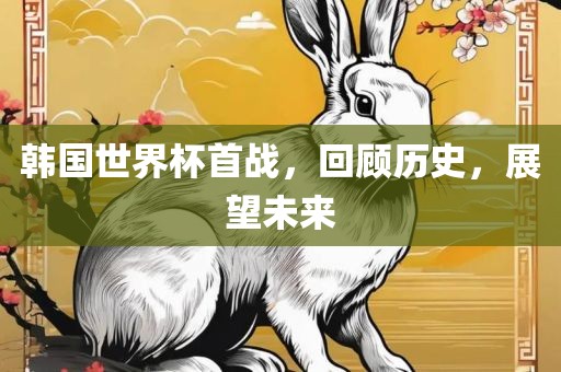韩国世界杯首战，回顾历史，展望未来