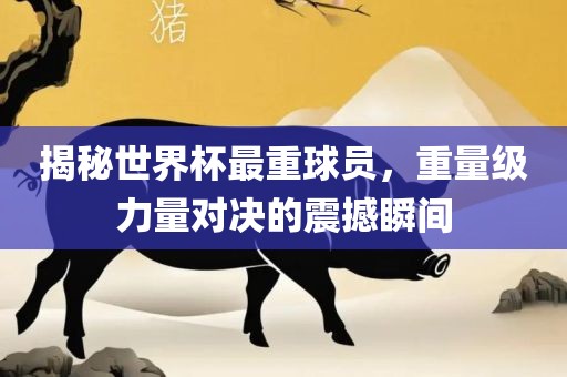 揭秘世界杯最重球员，重量级力量对决的震撼瞬间