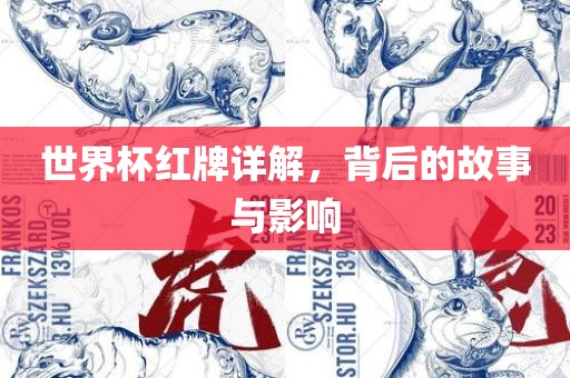世界杯红牌详解，背后的故事与影响