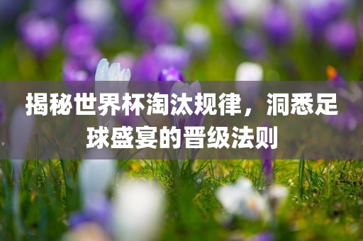 揭秘世界杯淘汰规律，洞悉足球盛宴的晋级法则