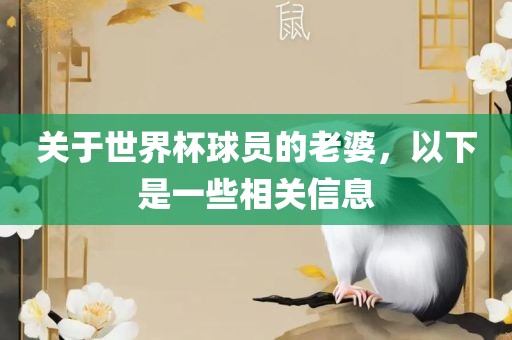 关于世界杯球员的老婆，以下是一些相关信息