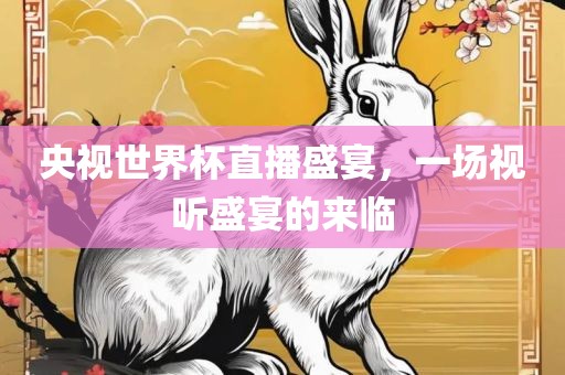 央视世界杯直播盛宴，一场视听盛宴的来临