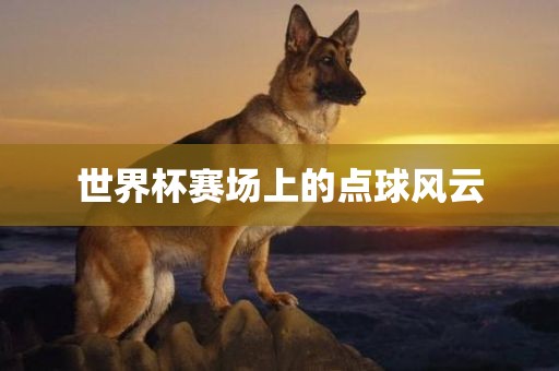 世界杯赛场上的点球风云